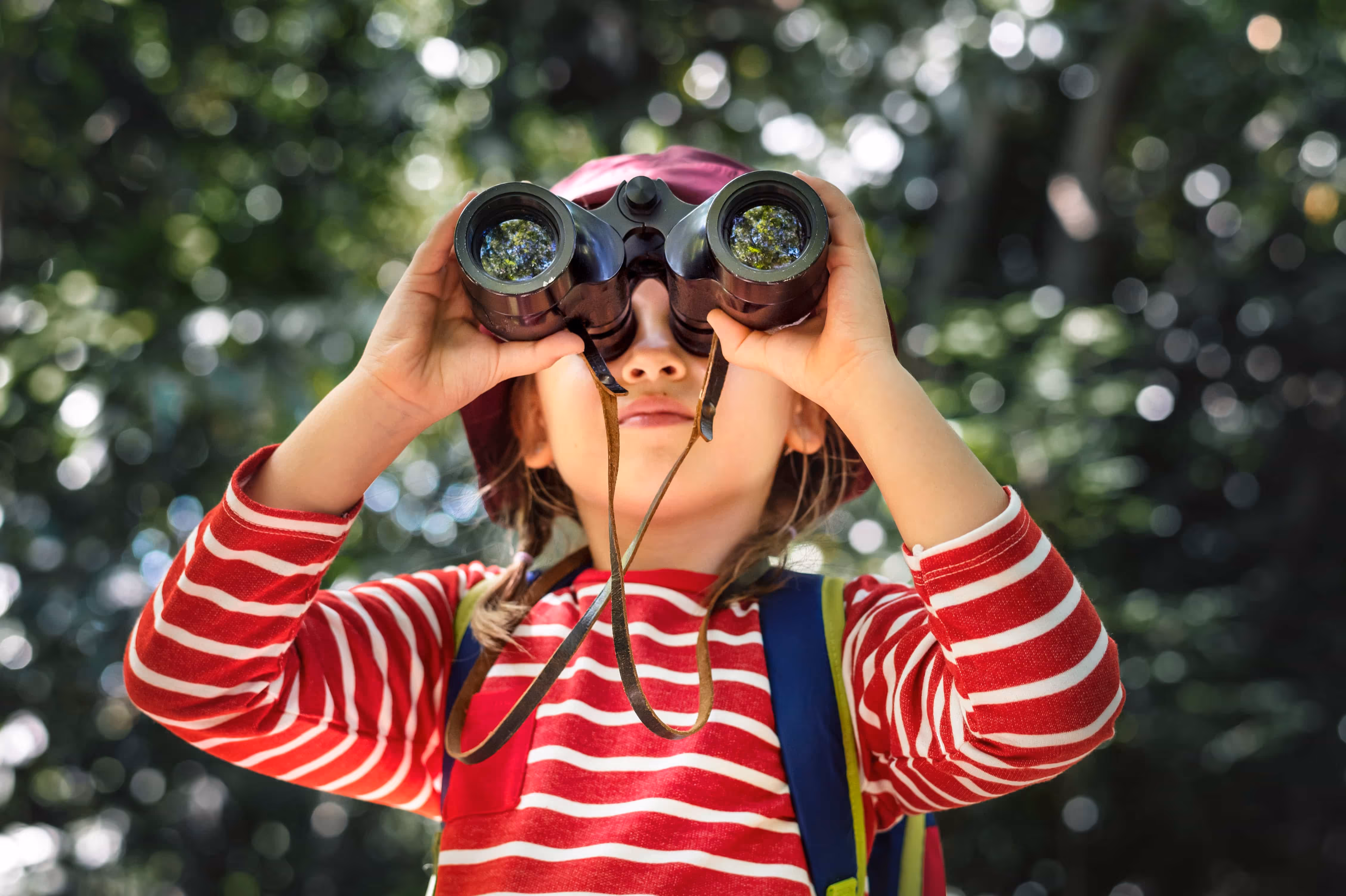 New Mexico / West Texas