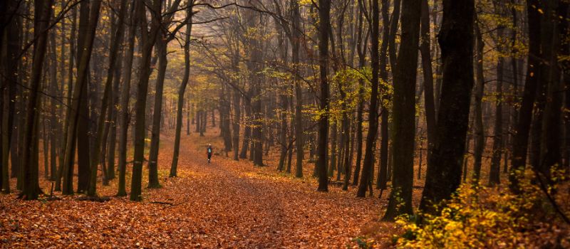 5-reasons-to-hit-the-trails-this-november-nature-awaits