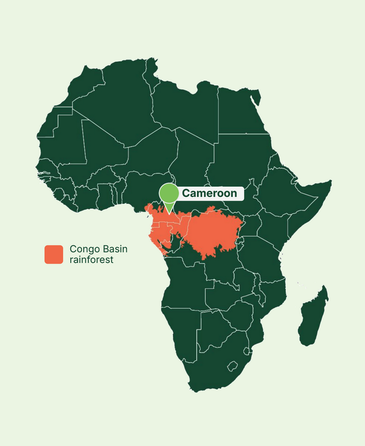 A warehouse in a tropical forest view from the top