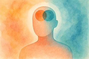 Example screen of the Animi application showing emotion processing, regulation, and communication tools