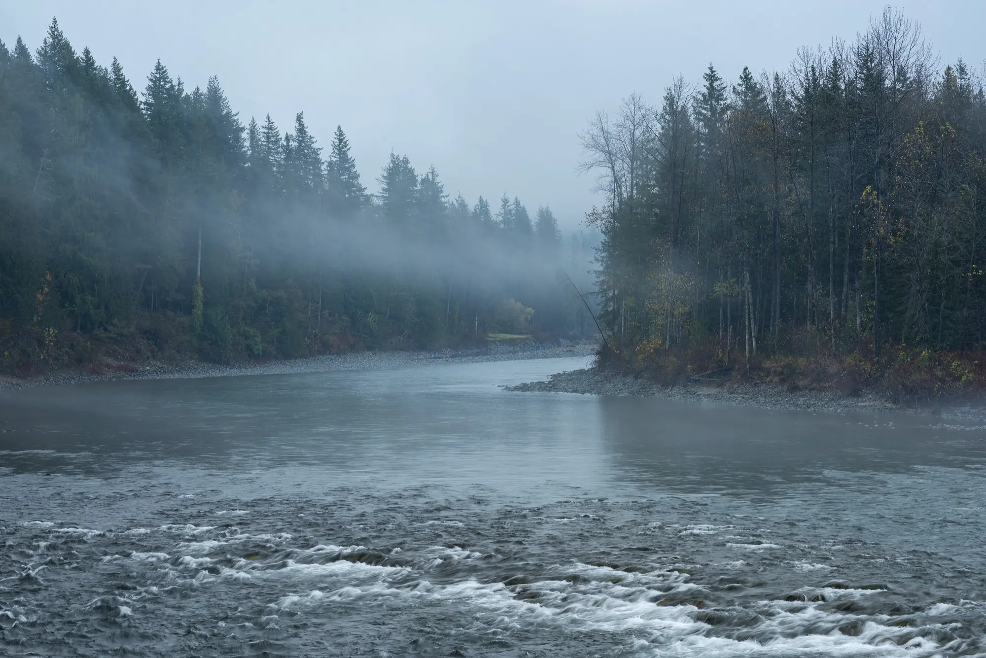 Misty forest scene beside a calm river, symbolizing the humidity of North York summers and the importance of cleaning to prevent musty smells and sticky surfaces indoors.