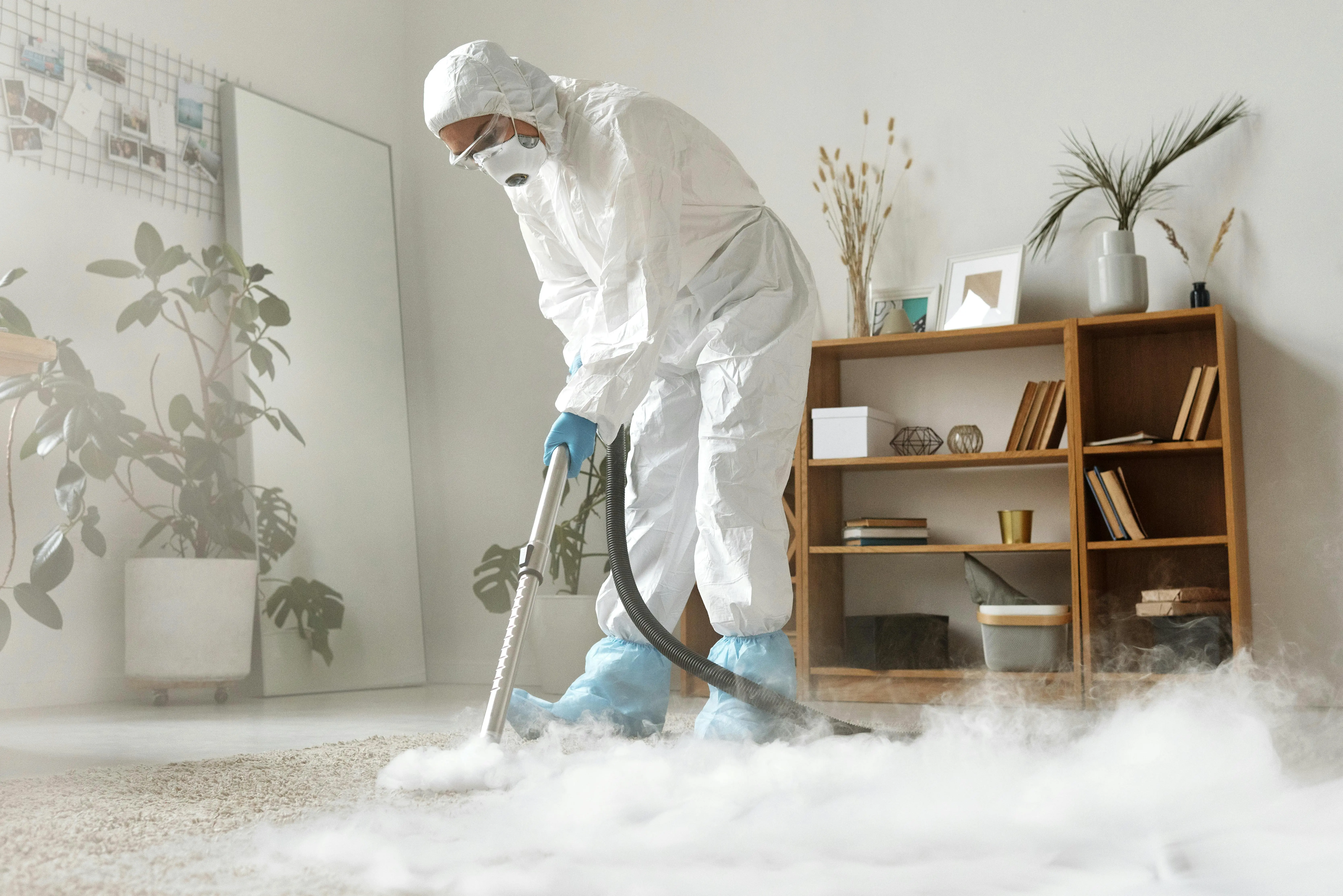 Professional cleaner in protective gear using specialized equipment and steam treatment on a carpet, demonstrating flea-specific cleaning methods to eliminate infestations.