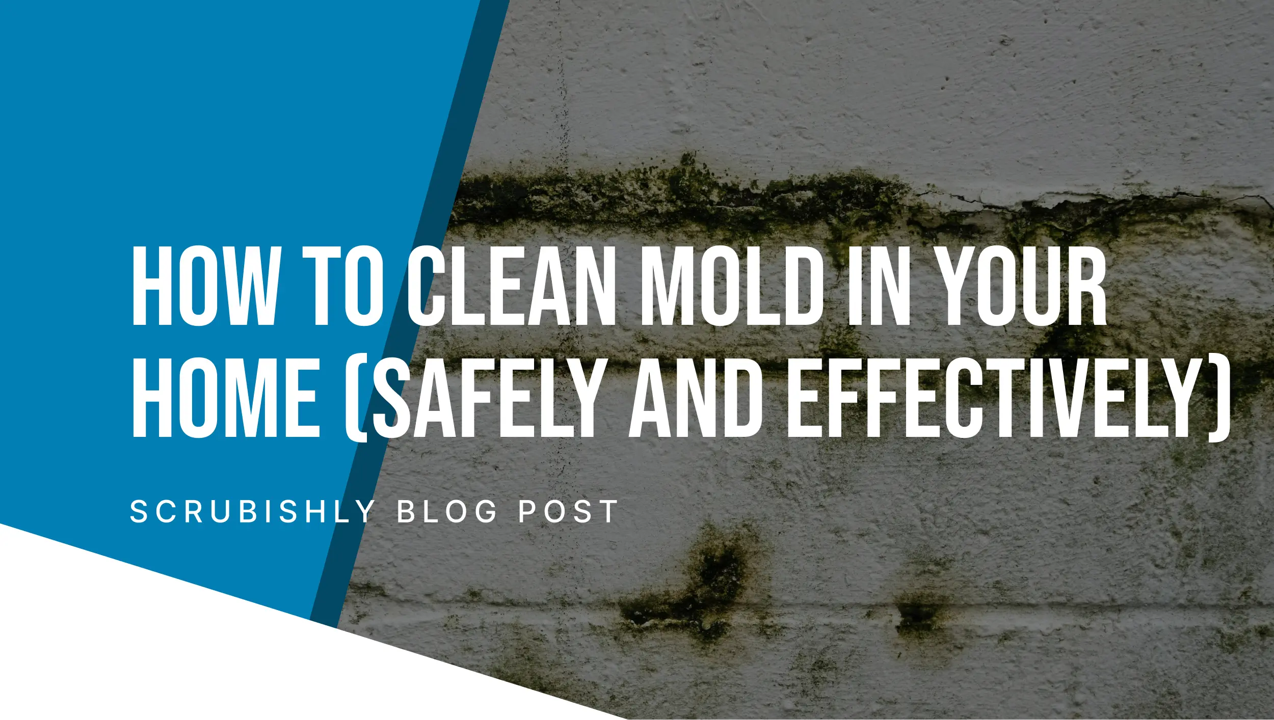How to Clean Mold in Your Home (Safely and Effectively)