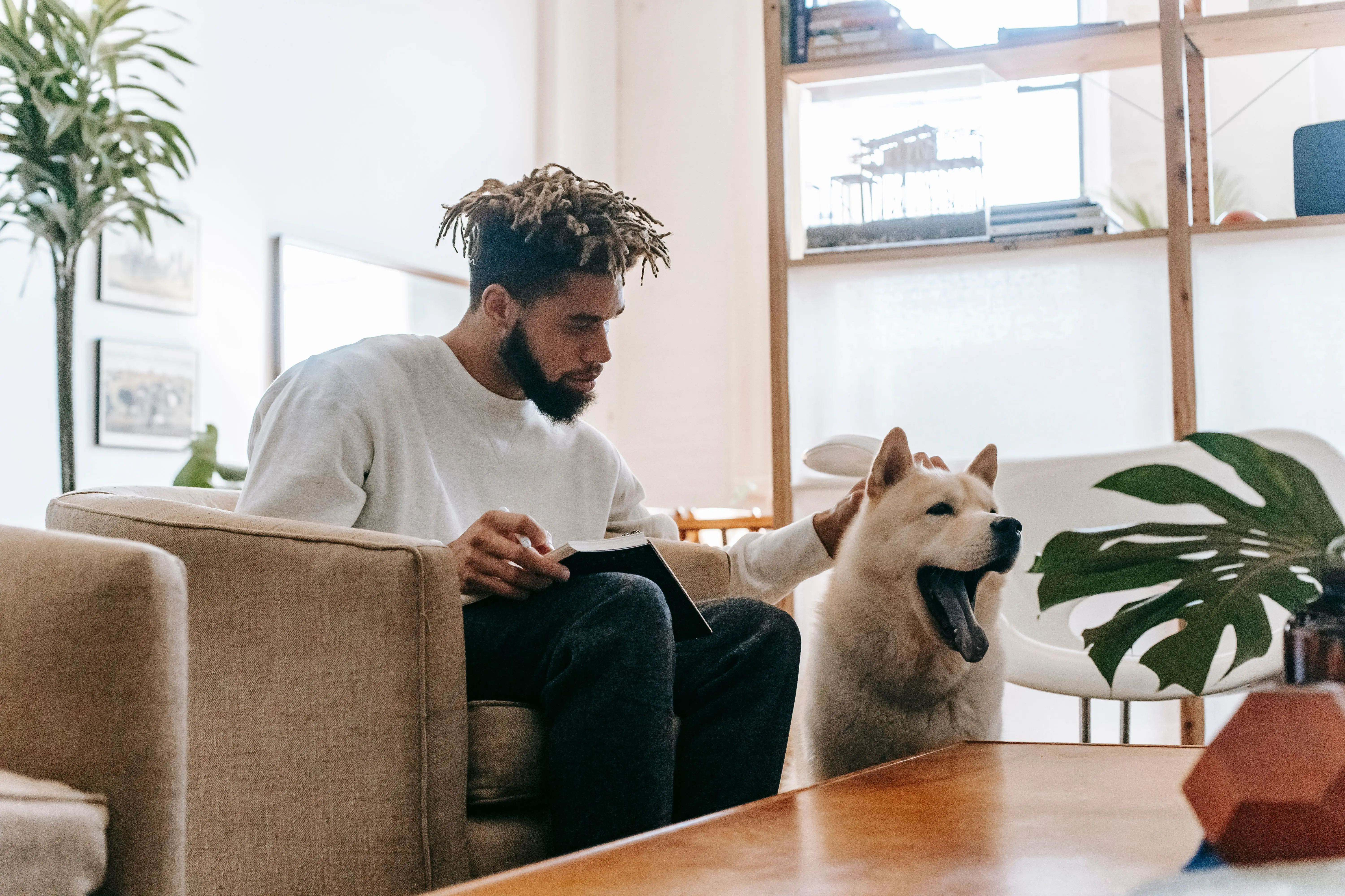 The Pet Owner's Guide to a Clean Home: Hair, Odors, and Dander