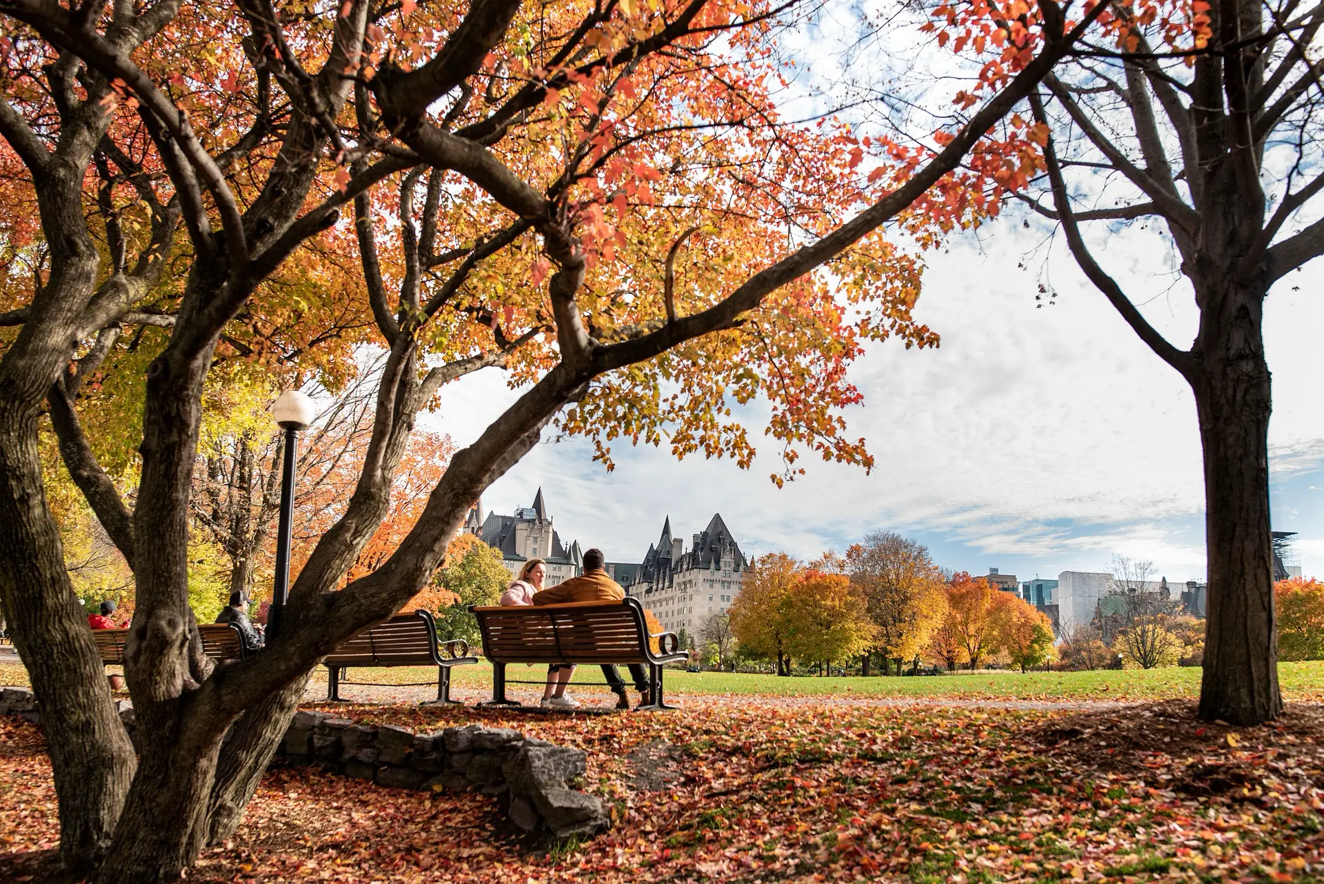 Fall Cleaning Checklist for Toronto Homes: A Room by Room Guide