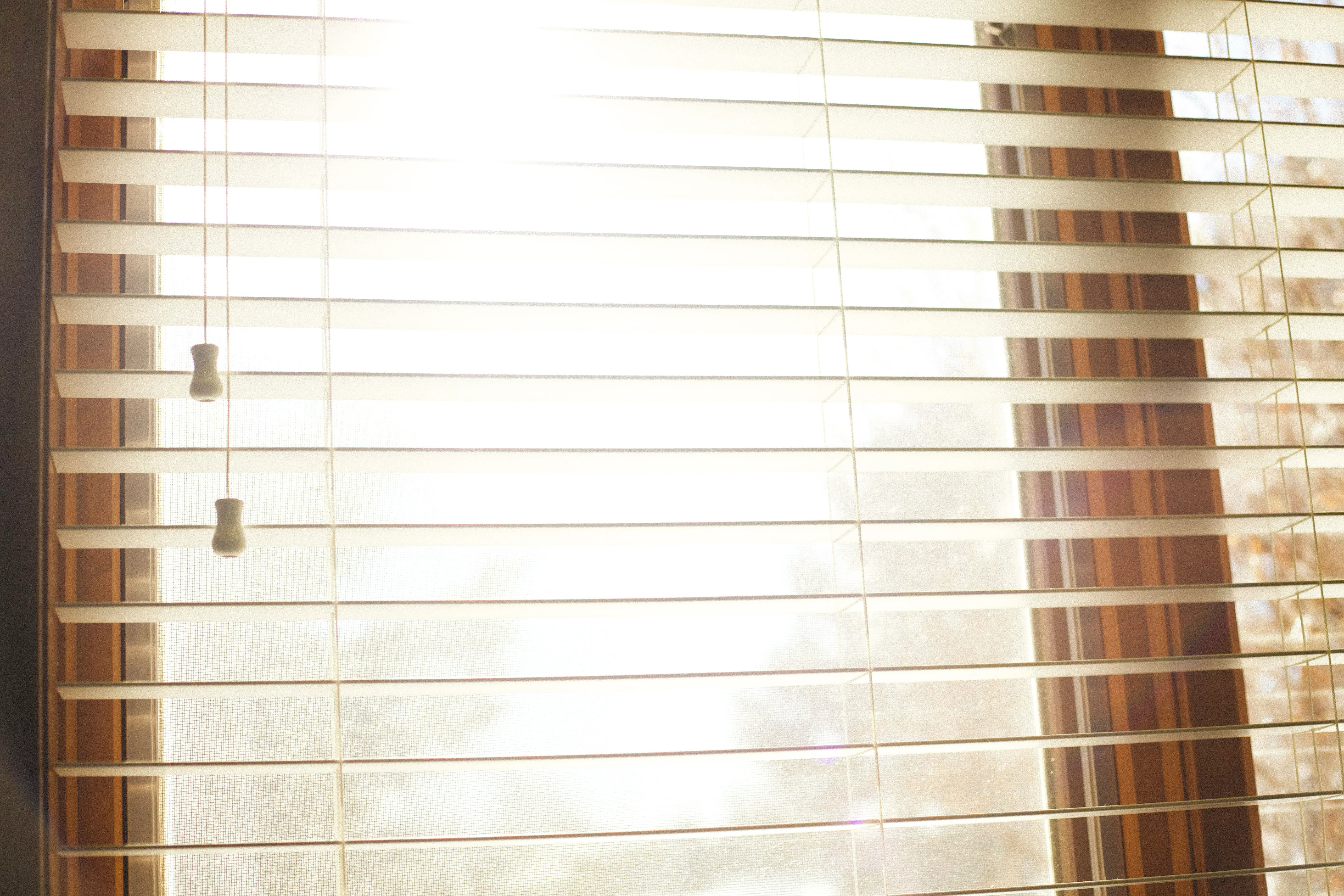 Autumn sunlight through window blinds in a Toronto home during fall cleaning