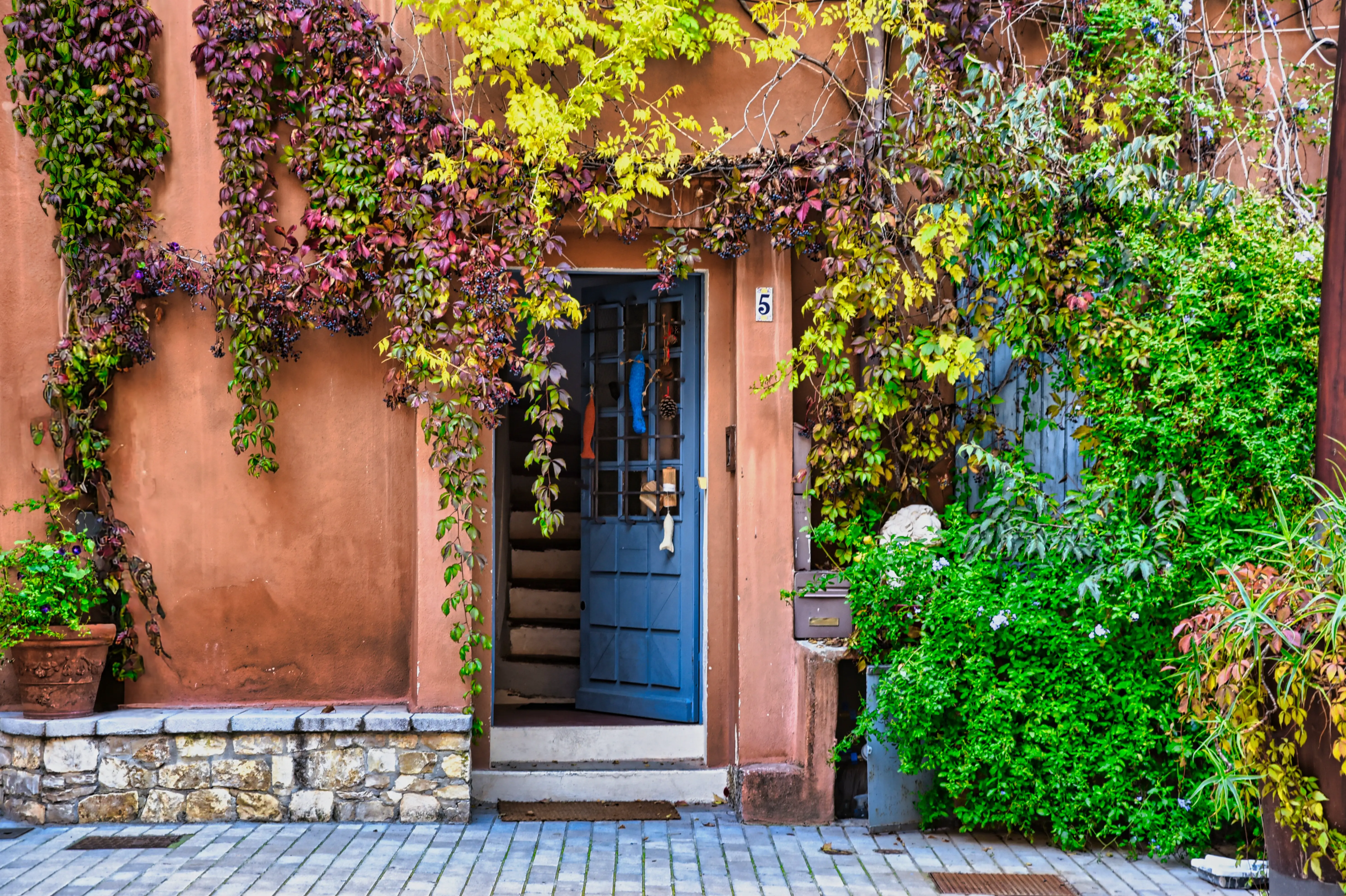 Autumn leaves around a home entryway where dirt gets tracked inside