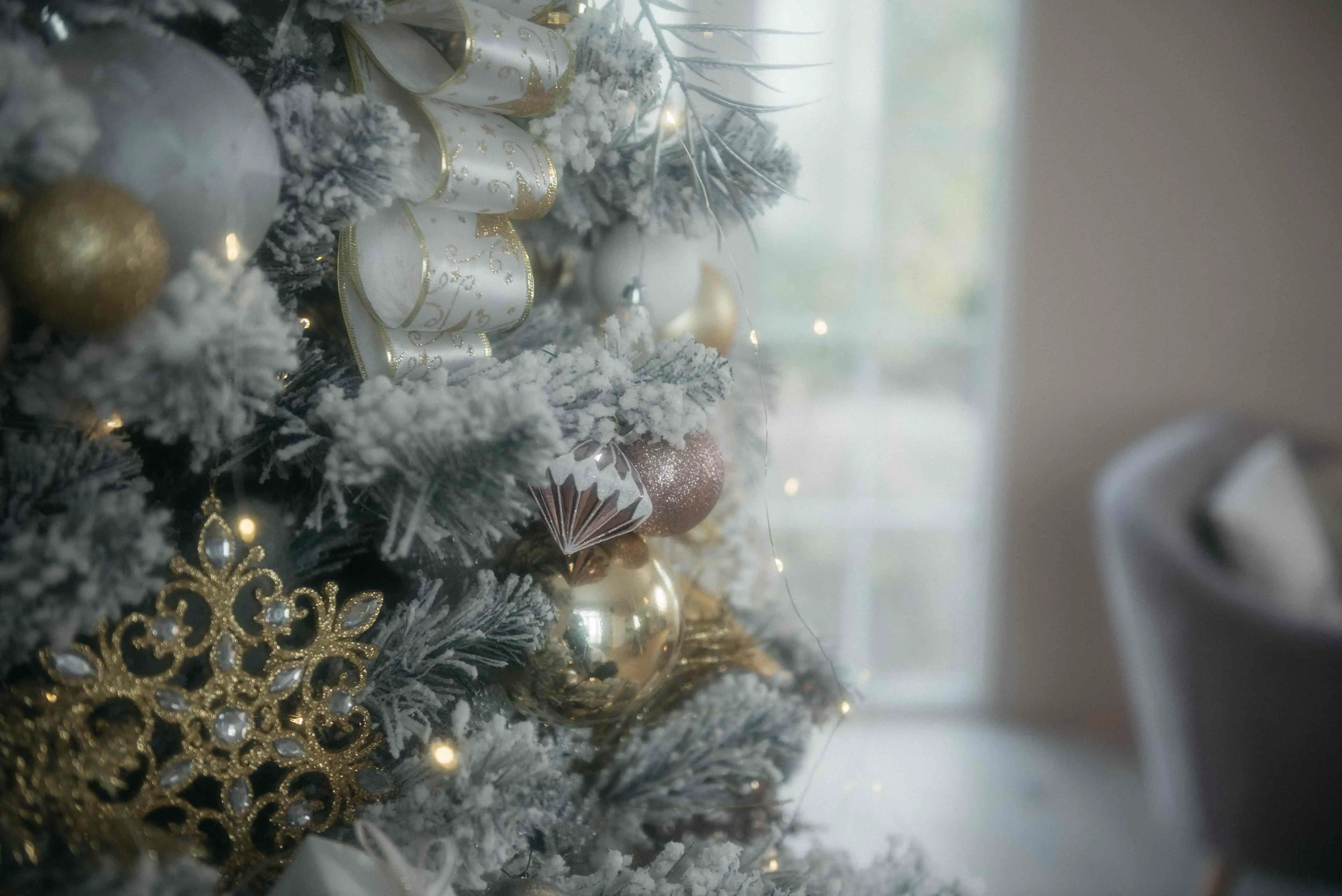 Cleaning around a Christmas tree as part of holiday home preparation