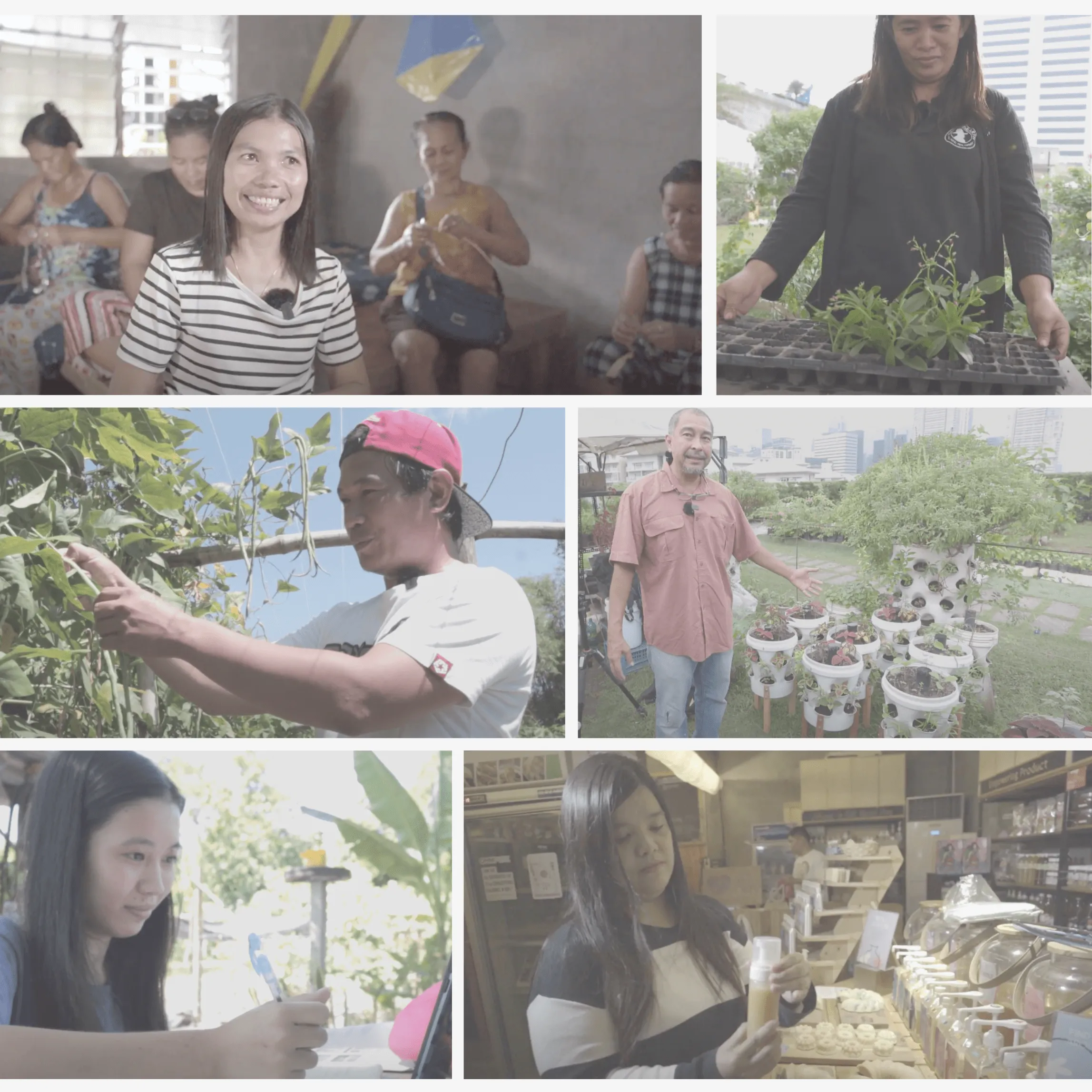 Collage of social entrepreneurs in the Philippines engaged in diverse sustainable projects including urban gardening, handicraft making, and eco-friendly product development, highlighting grassroots impact.
