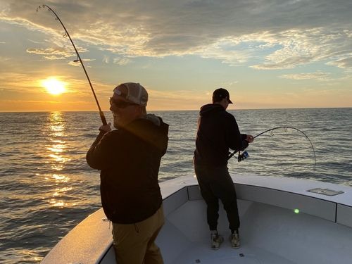 Cape Star Sportfishing