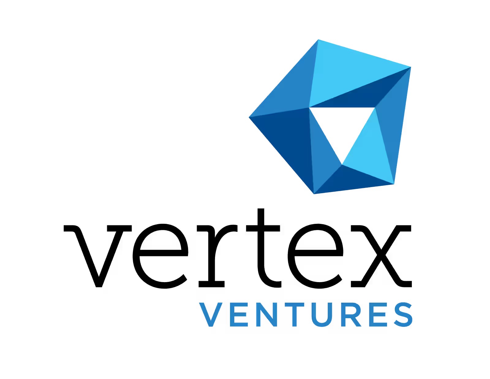 Blume Ventures