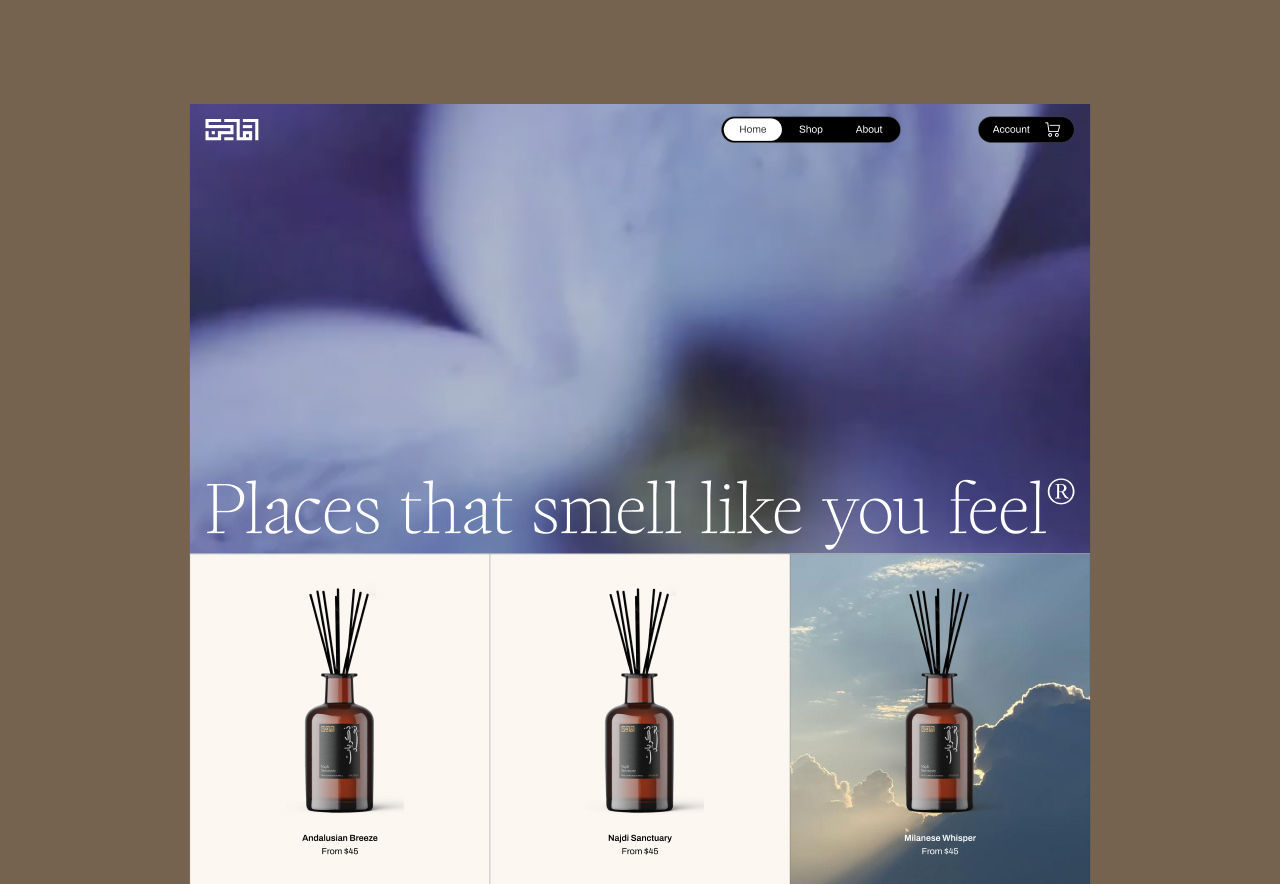 Image top-fold preview of AMAKIN website homepage