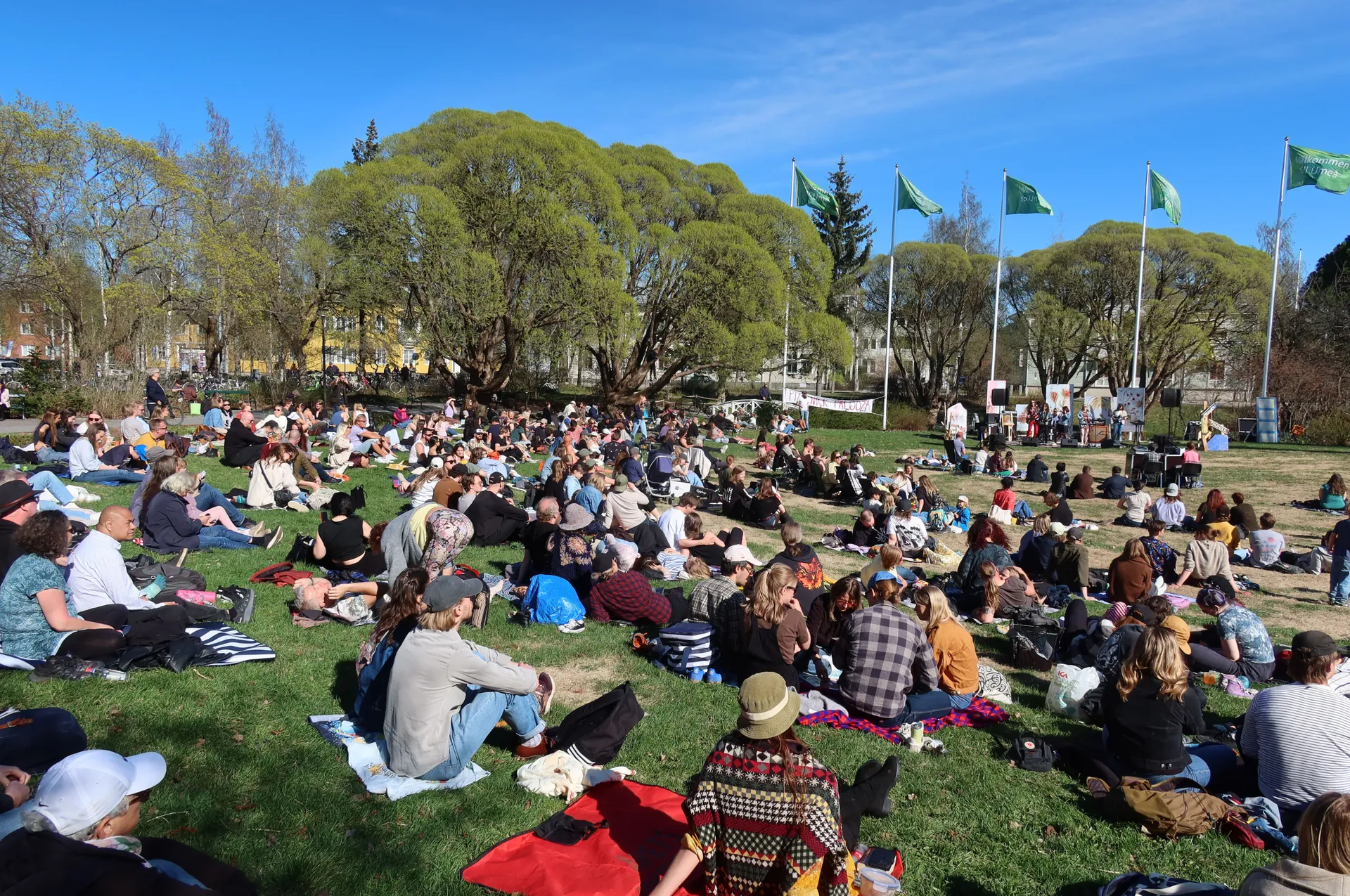 Människor sitter på en gräsmatta i en park under en solig dag och tittar mot en scen, med gröna flaggor och lummiga träd i bakgrunden