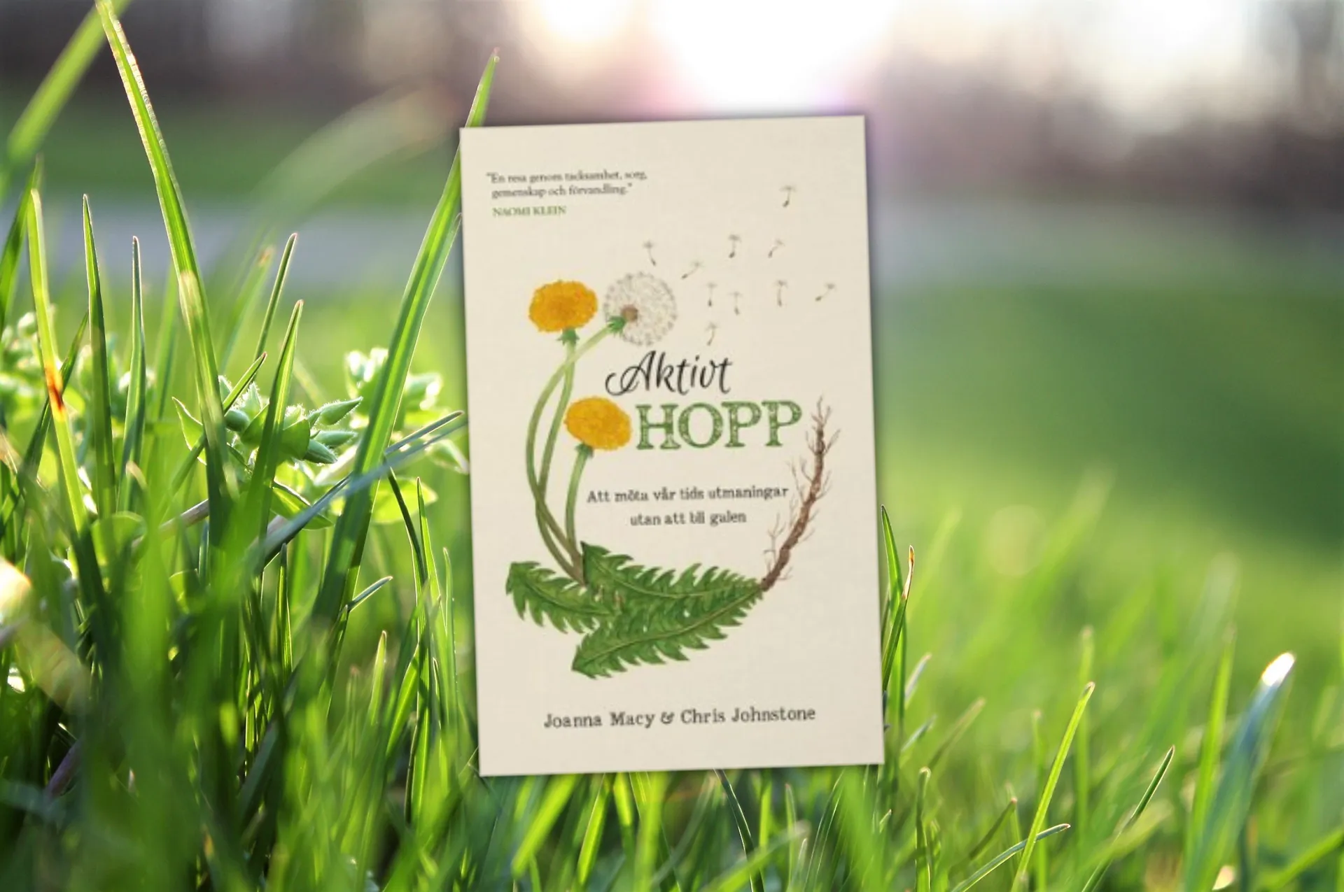 Boken 'Aktivt Hopp' av Joanna Macy och Chris Johnstone fotograferad i grönt gräs med solljus i bakgrunden. Bokens omslag visar illustrationer av maskrosor och ormbunke.
