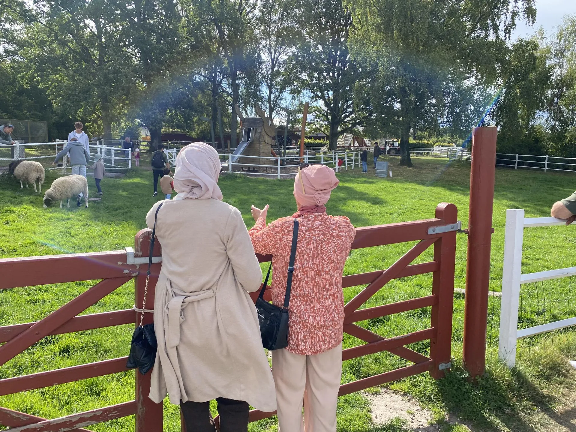 Två kvinnor står vid en röd grind och tittar ut över en grön hage på en bondgård där besökare interagerar med får, med lekplats och träd i bakgrunden