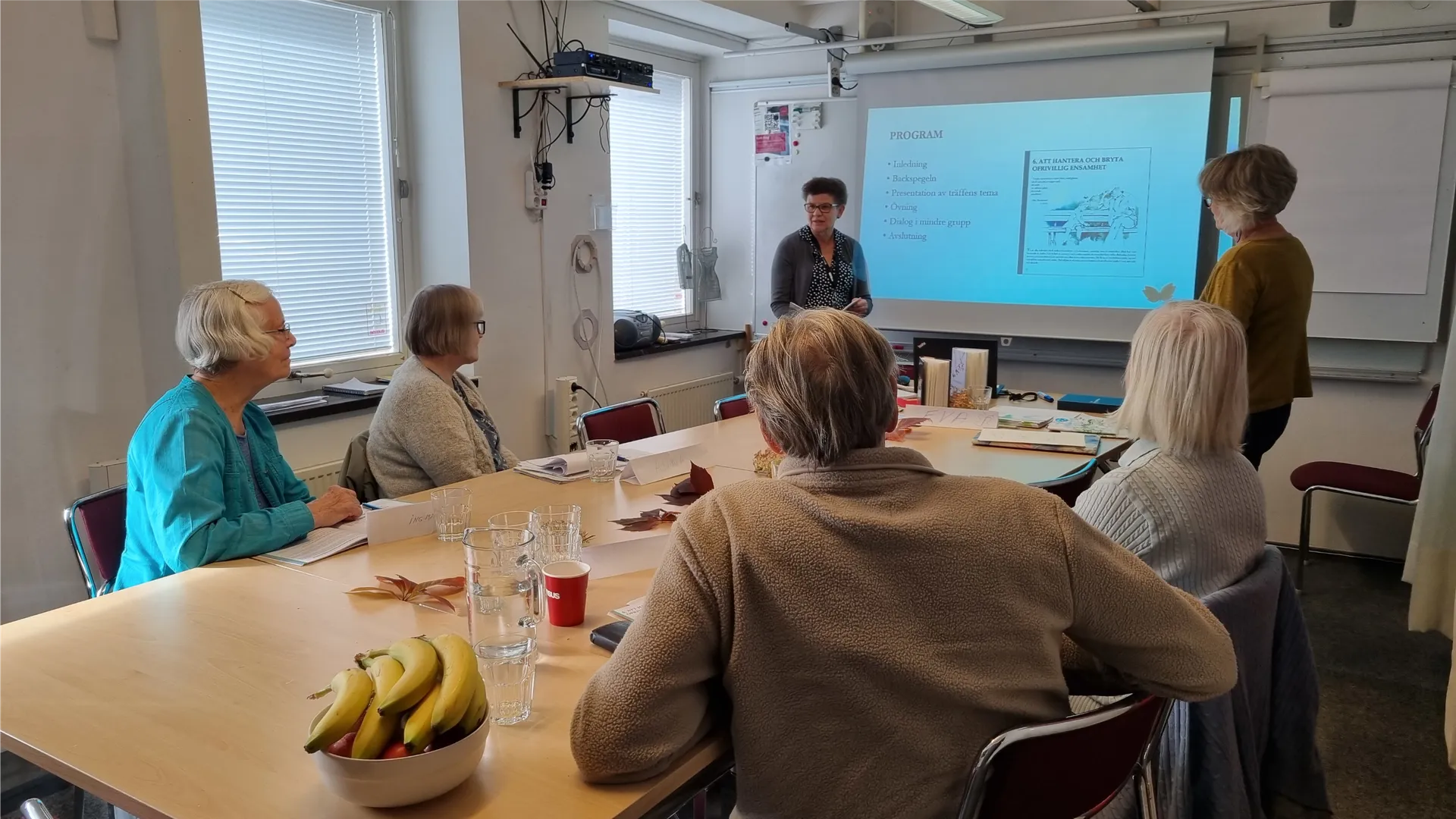 En grupp äldre personer sitter runt ett konferensbord och lyssnar på en presentation. En kvinna står framför en projektorskärm som visar ett program om att hantera och bryta ofrivillig ensamhet. På bordet finns frukt, glas och anteckningar.