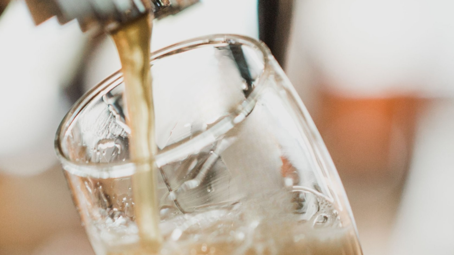 Strengthening beer expertise in Switzerland: New partnership and online course