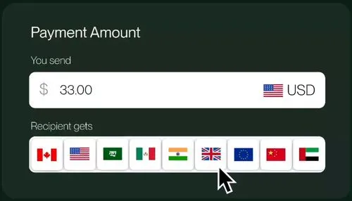 Global Payments - Flex