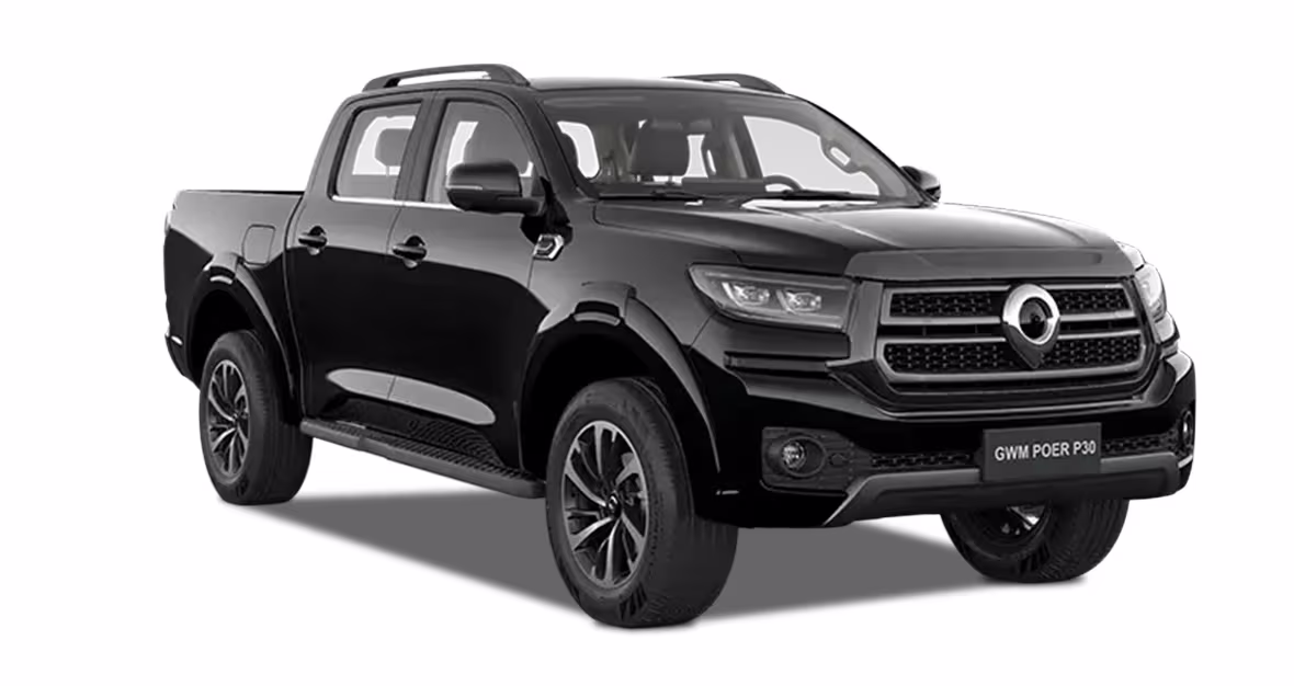 GWM Poer P30
