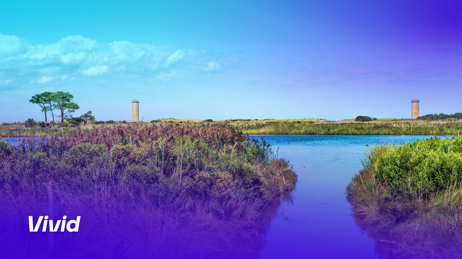 Learn about our graphic services in Rehoboth Beach including logo design, brand identity, marketing materials, signage, and more.