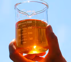 Hand holding beaker of clean biodiesel fuel.