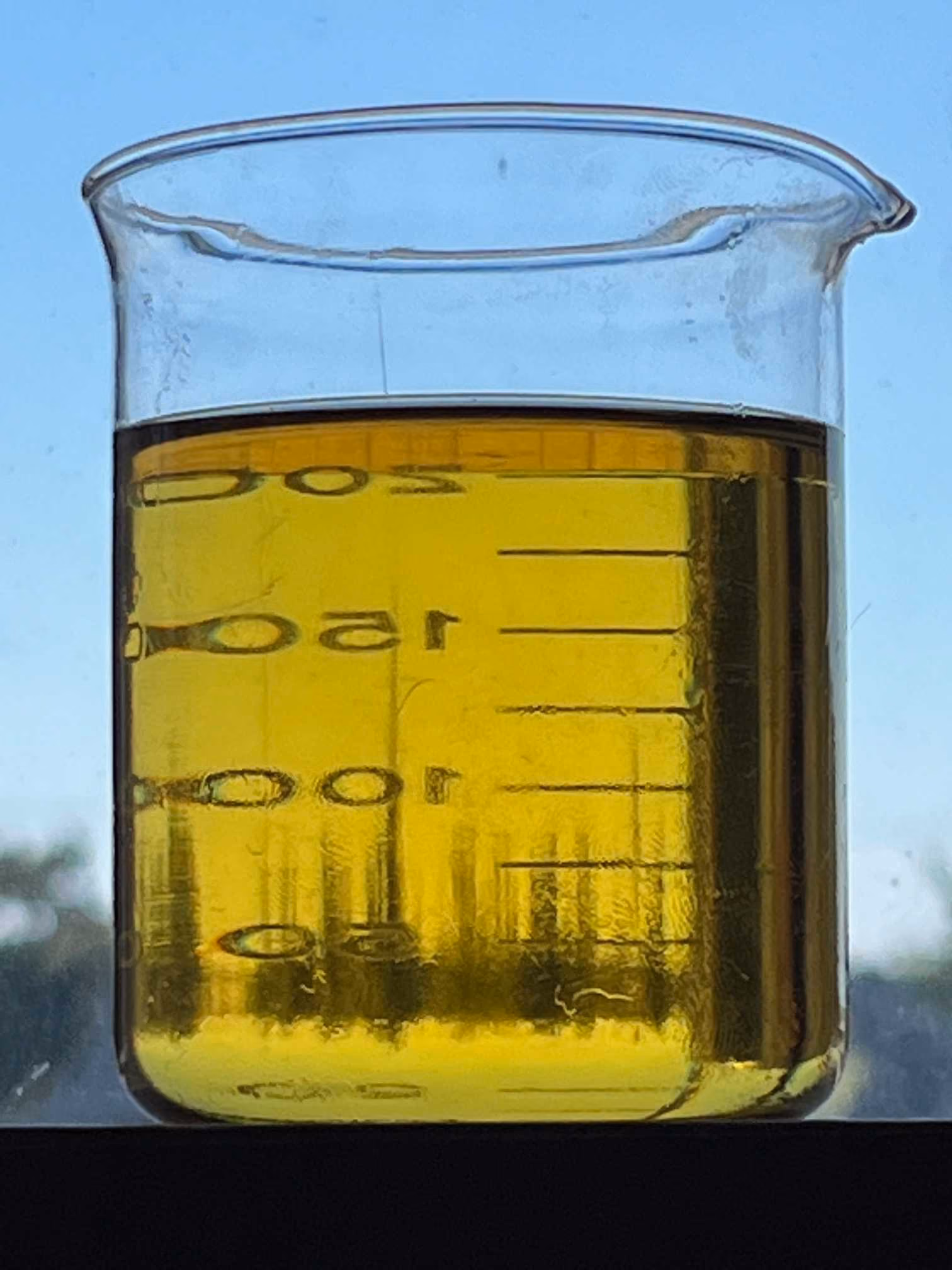 Beaker of clean biodiesel