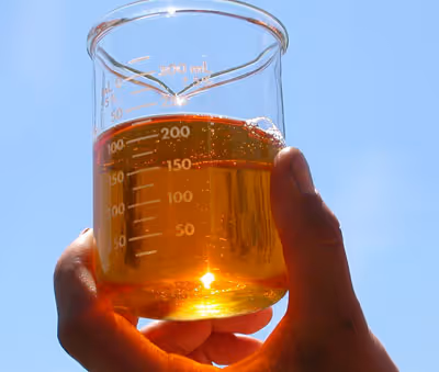 Beaker of biodiesel fuel