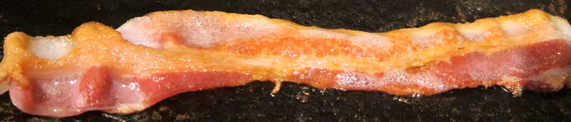 Beef tallow and hydrogenated oils used in biodiesel processors