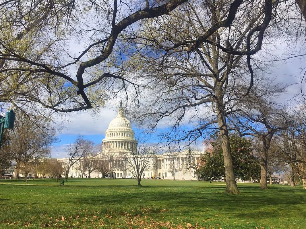 Senate passes bill with new SAF, clean fuel, hydrogen tax credits