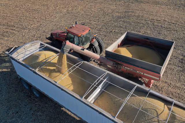 How Diesel Prices Could Lift Soybean Profits—and These Stocks