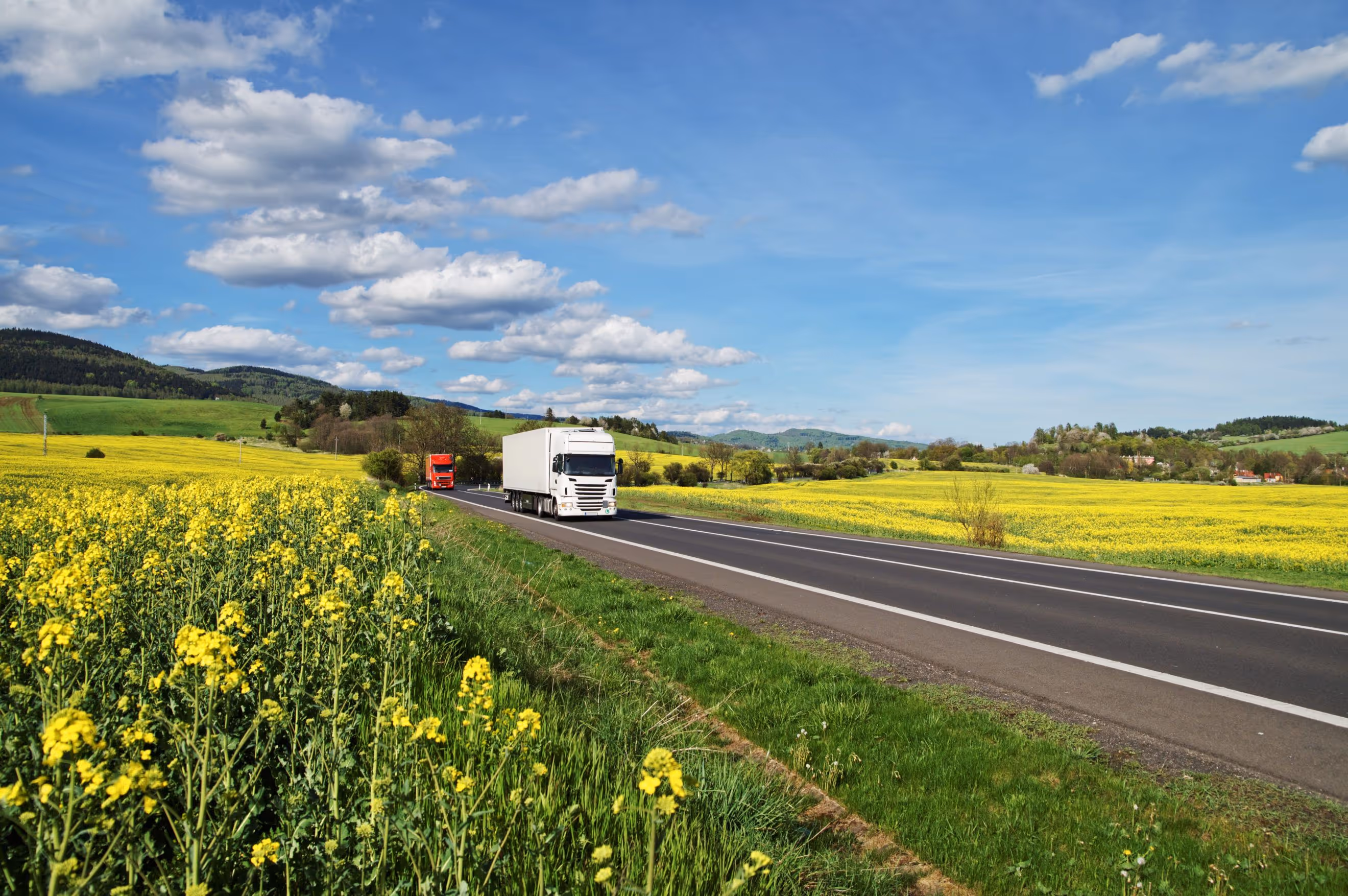 Biodiesel plays a key role in the decarbonization of transport