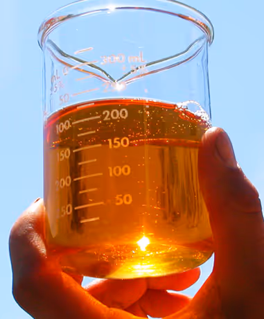 Beaker of biodiesel fuel