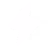 lighting icon