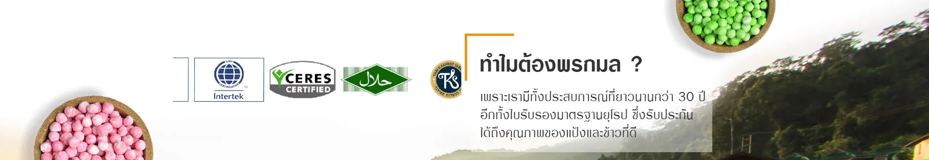 แป้งข้าวจ้าว, โรงงาน ผลิต แป้ง ข้าวเหนียว, แป้งข้าวเหนียวดำ