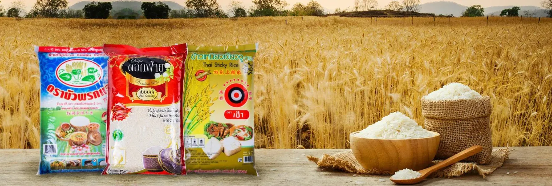 เม็ดสาคู, โรงงาน ผลิต แป้ง ข้าวเหนียว, แป้งข้าวเหนียวดำ