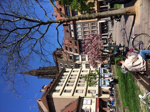 A side view of the Cathedral of Strasbourg from a nearby park on a lovely spring day.
