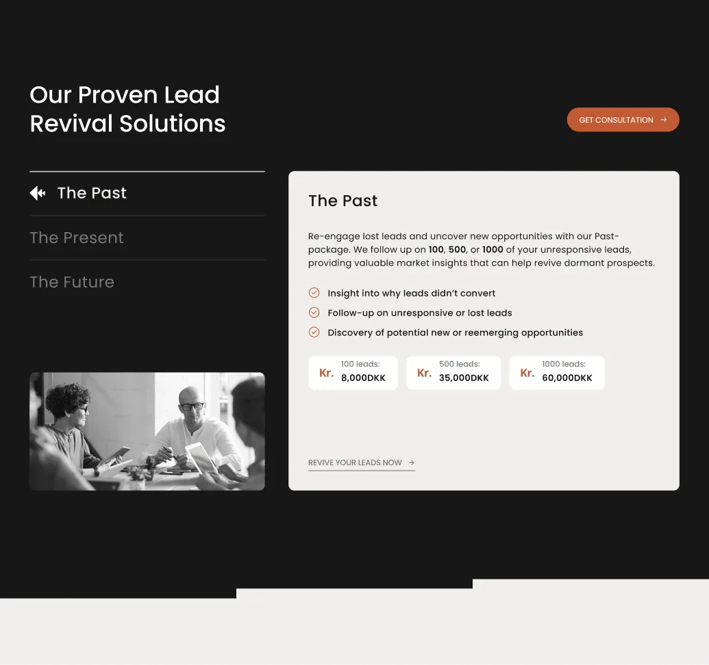 Webpage section titled 'Our Proven Lead Revival Solutions' with a focus on 'The Past' package offering lead re-engagement insights and pricing for 100, 500, and 1000 leads in DKK.