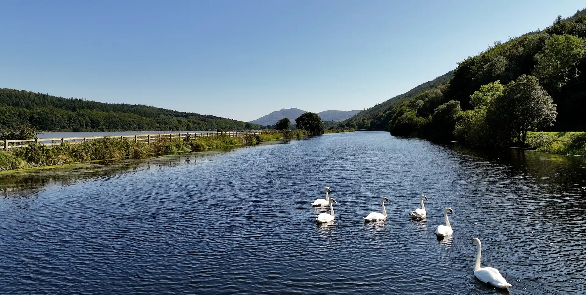 Carlingford Greenway near Lough Holiday Park in Co. Louth