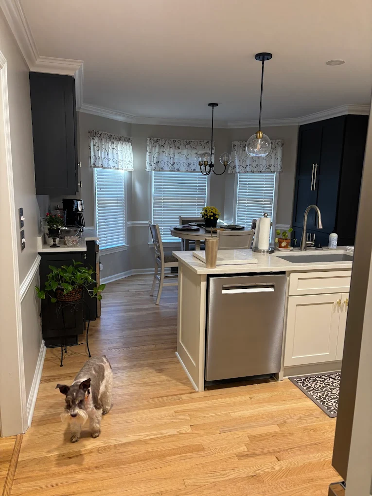 A job by A-max flooring, refinished hardwood floors. A dog is seen standing on the newly finished floors.