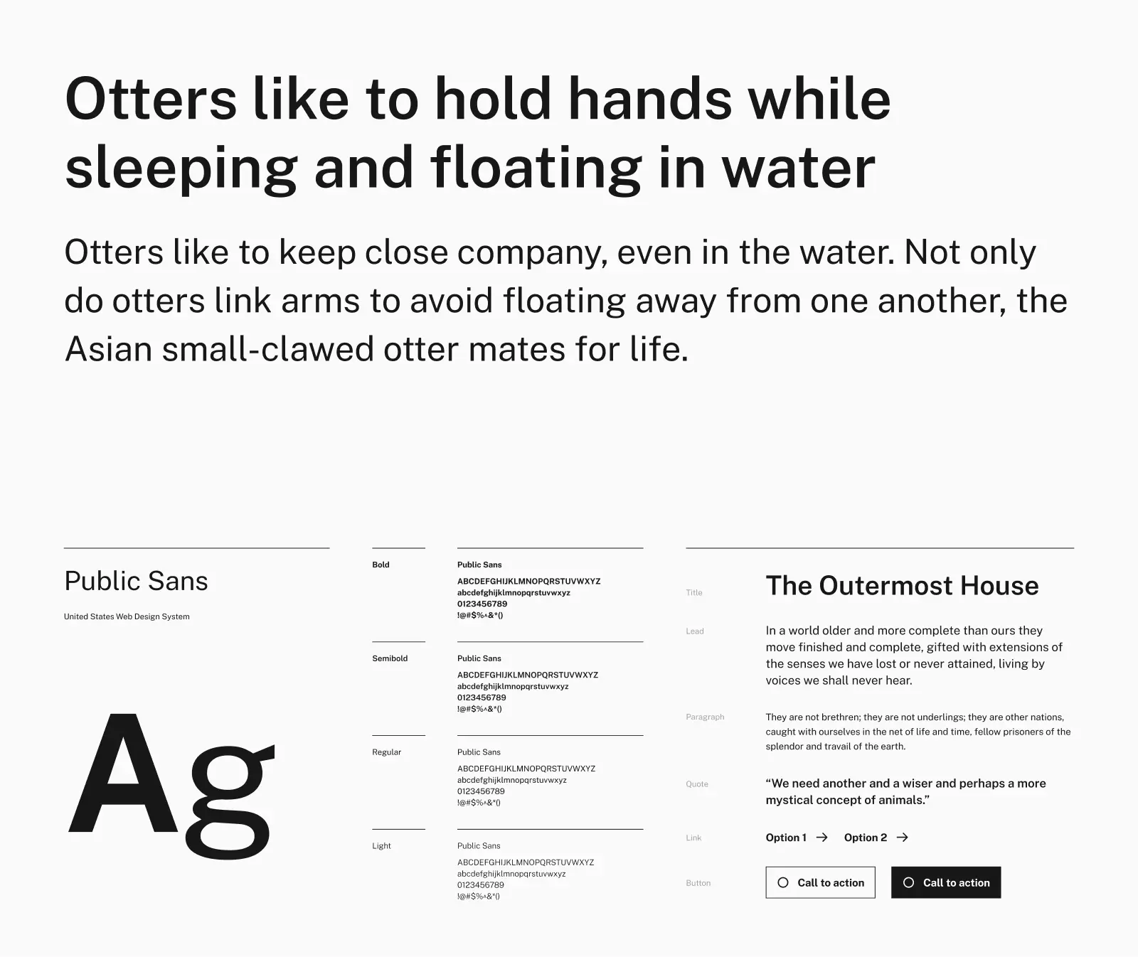 Public Sans typeface preview