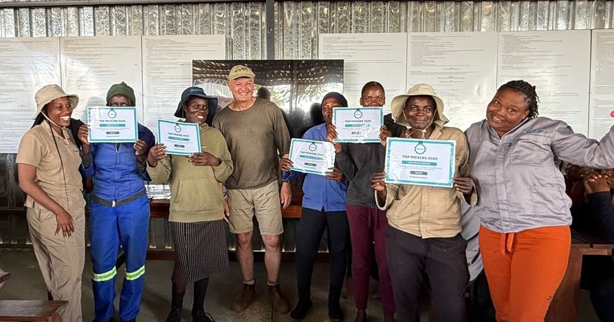 Volcano view from top of hill