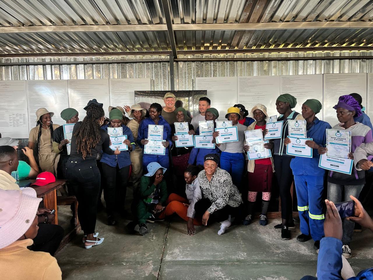 New break light for Porsche. Full single line from left to right below the rear window