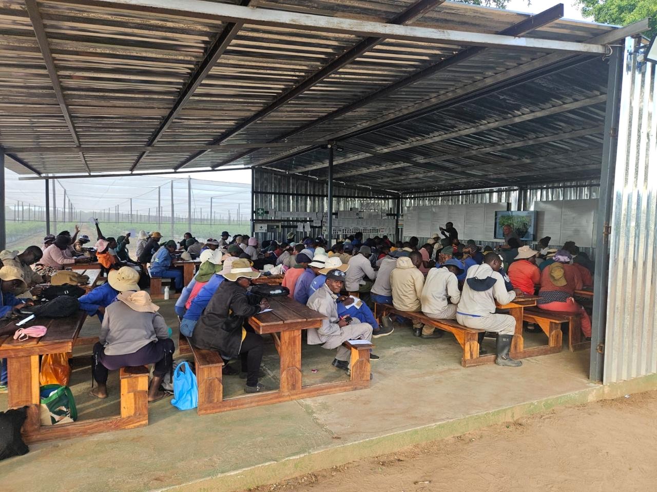 Porsche model GT3 letters on seat vabric