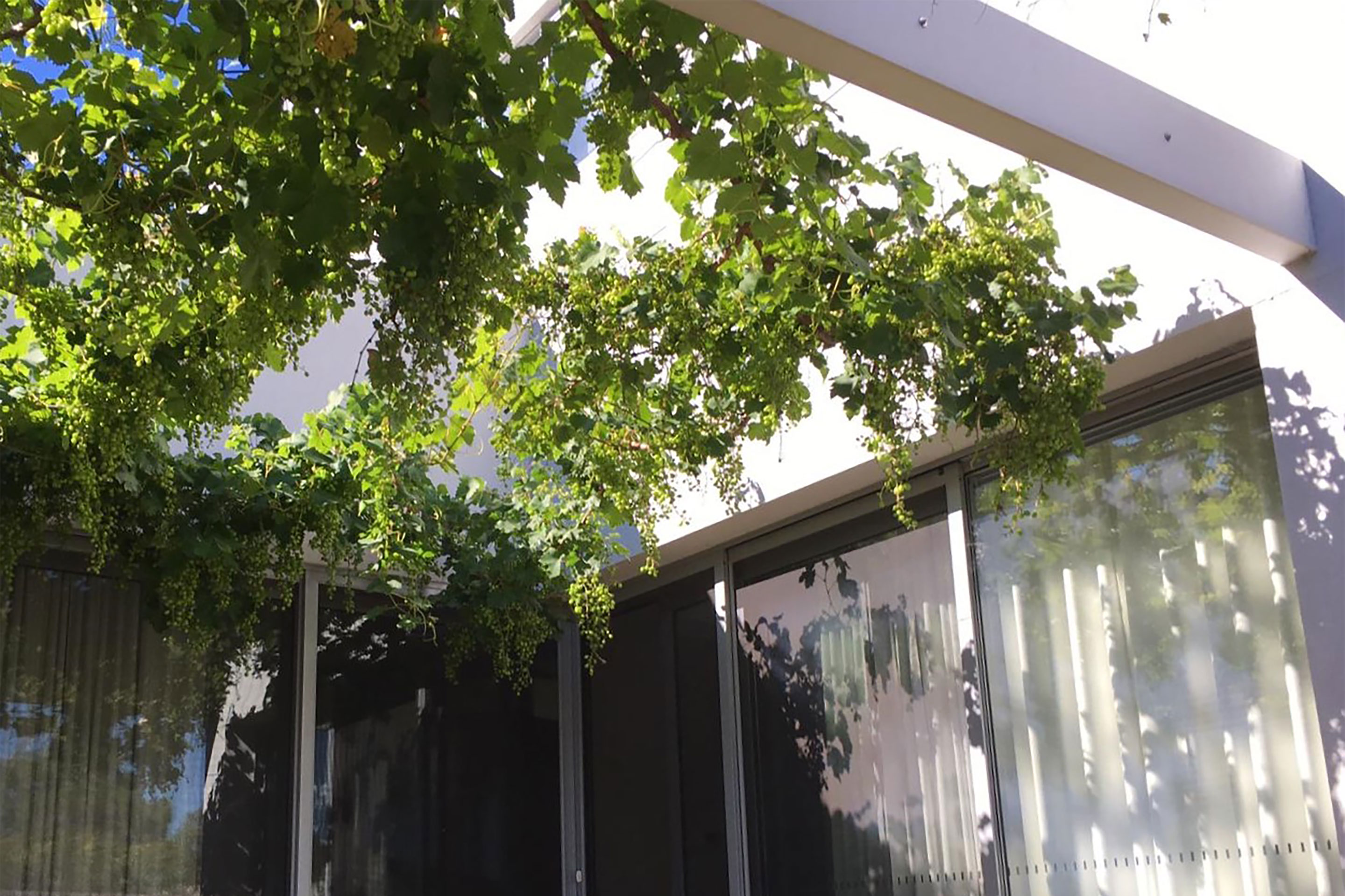 MF House — view 8, Melbourne, Australia