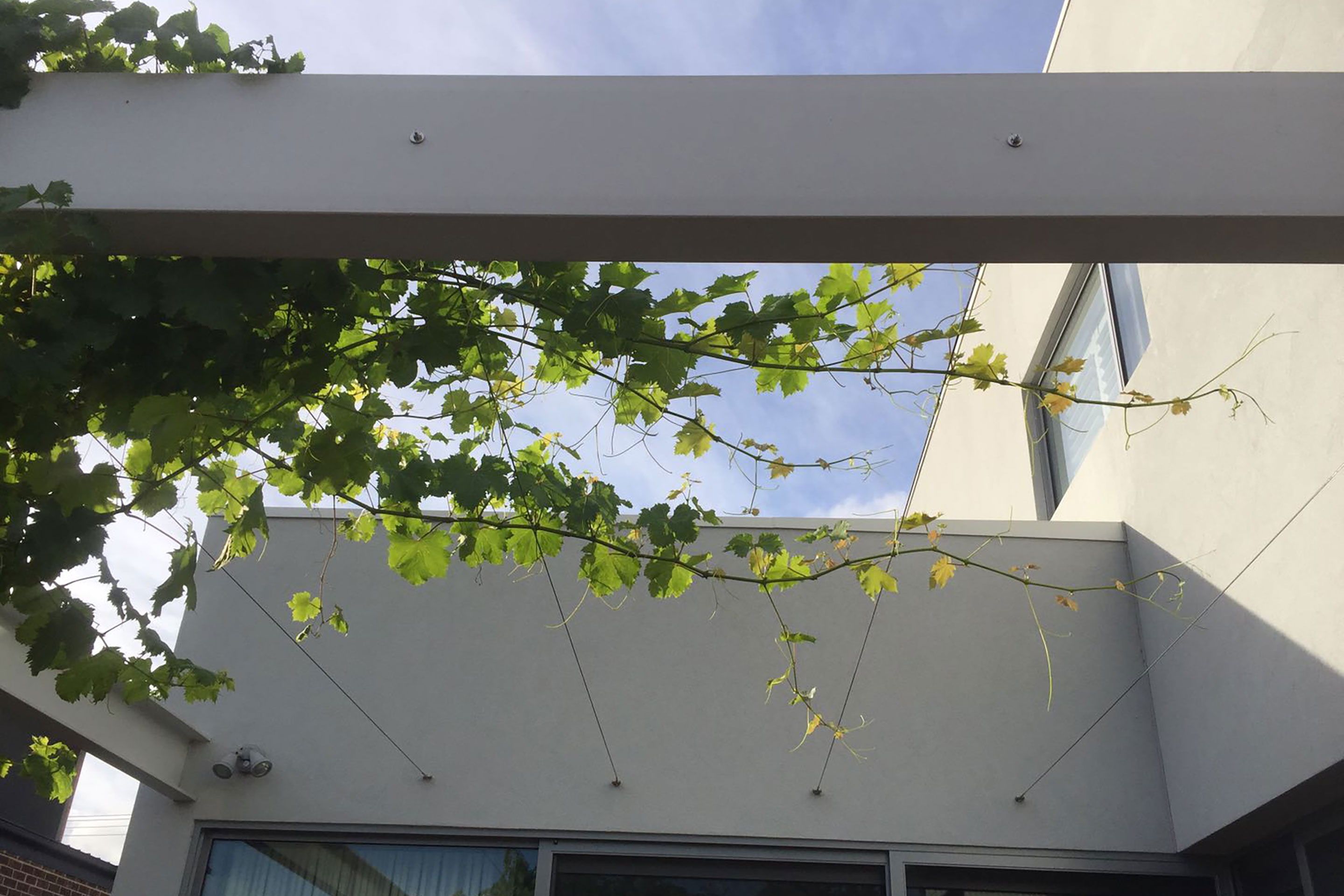 MF House — view 7, Melbourne, Australia