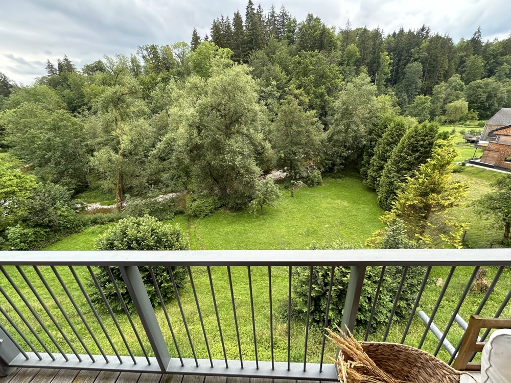 Ausblick