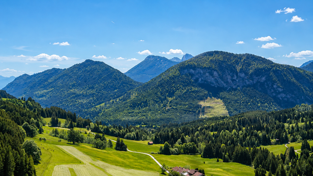 Panorama