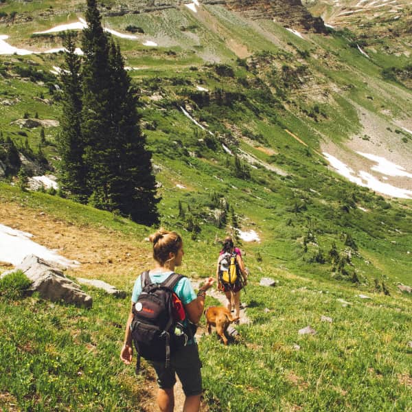 Zwei Wanderer mit Rucksäcken gehen auf einem Bergpfad durch eine grüne Landschaft.