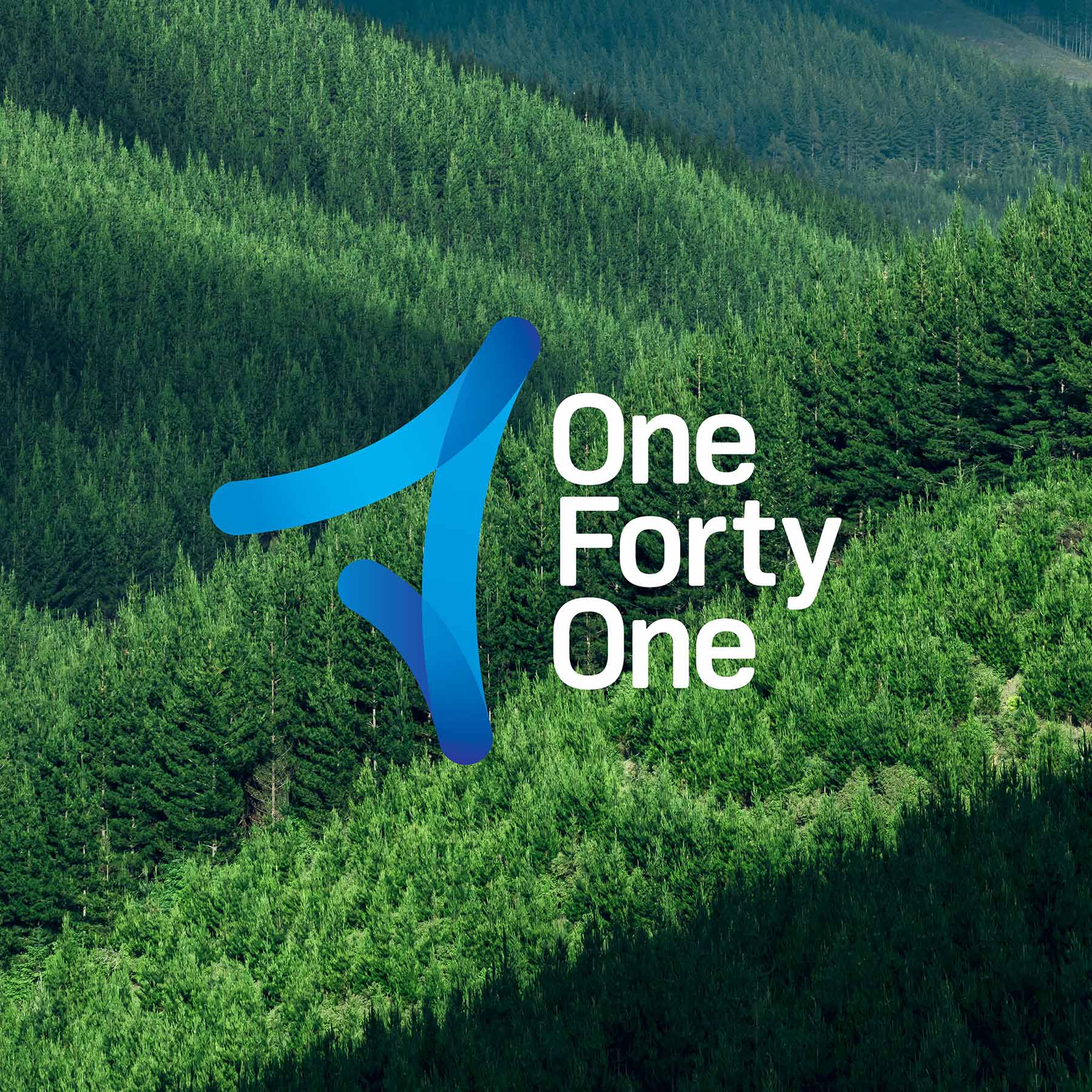 OneFortyOne logo reversed on forest image background.