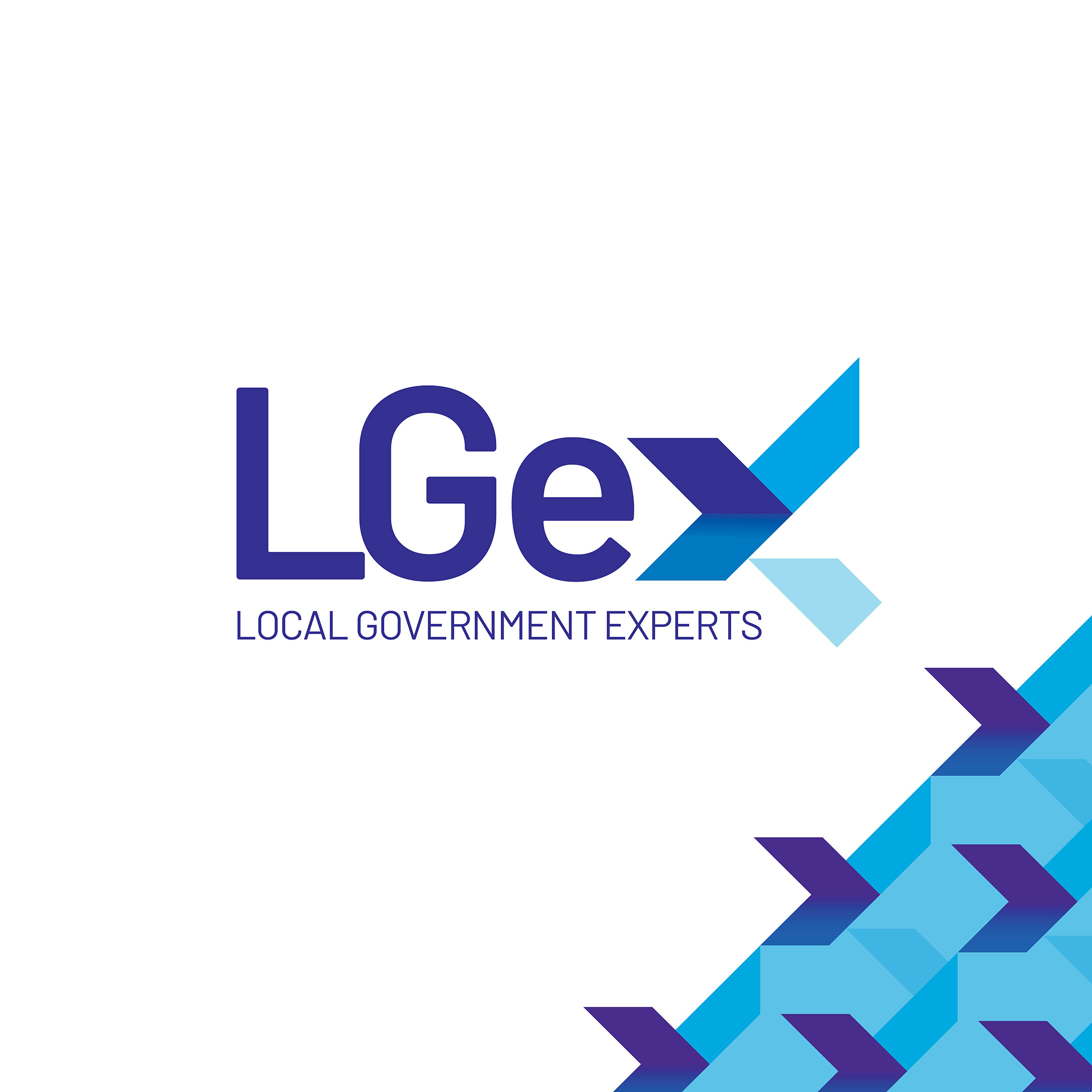 Local Government Experts Logo in the centre of a light blue box. On the bottom right is the iconography from the logo, spread out as a small diagonal pattern.
